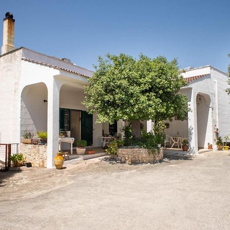 Wepuglia La Maison-D B&B Padresergio Kültér fotó